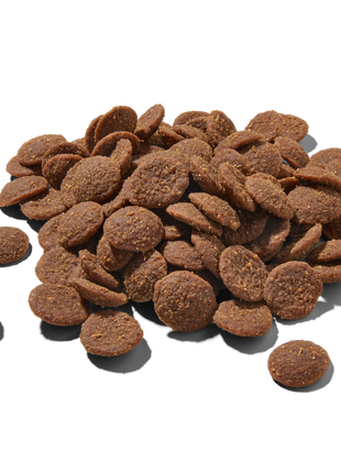 Premium Trockenfutter Rind & Pferd