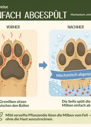 Pfotenbad Grasmilben