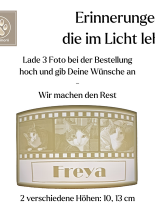 Dein persönlicher Haustier-Filmstreifen