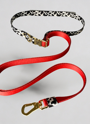 Hands-Free Hundeleine Rouge