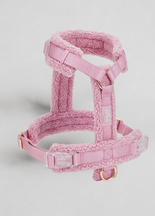 Hundegeschirr-Set Teddy Rosa