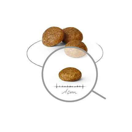 V5H208A1DDB4B9E8EF4108DB78903C5664FR5840520P3