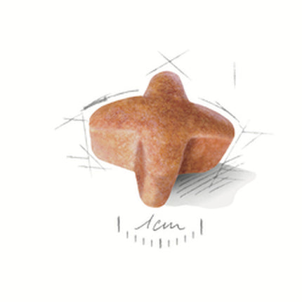 V5H9BFB4385DAA23EDBE6E9C3A113D9EC6AR3535808P2