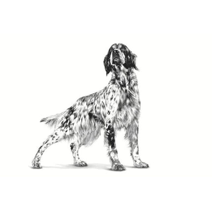 V6HF9E76E1422B11AB95579973649C52D87R5375090P3