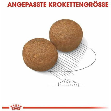 V5H6742829EED7705B6F830868C020990A3R6204304P3