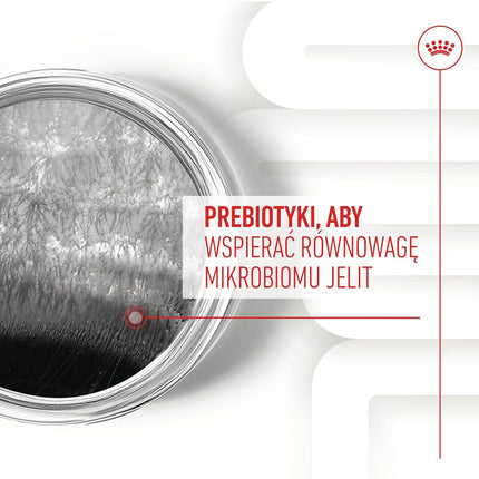 V5H0EF95C552E76EDF64FCEFF4AE47DD9F0R5624718P9