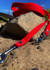 Red / BioThane® / 16 mm