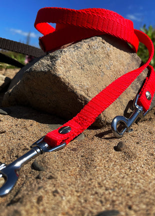 Hundeleine RATZFATZ aus BioThane®/POP - Band