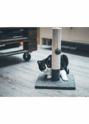 V8H8E54ABA154C1027681DDC24F39A974B0R6623305P3