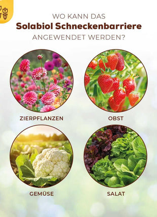 Solabiol Schneckenbarriere 1,5 kg