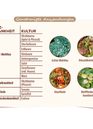 Solabiol Grundstoff Lecithin Konzentrat 800 ml