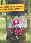 1 Stück