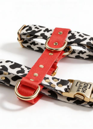 Hundegeschirr Rouge