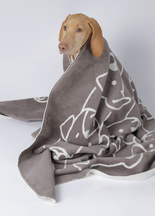 Decke Caruso Dogs