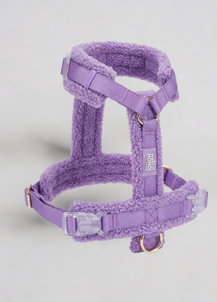 Hundegeschirr-Set Teddy Violett