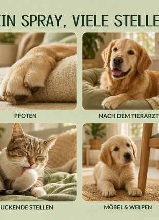Allergo Control Knabberstopp