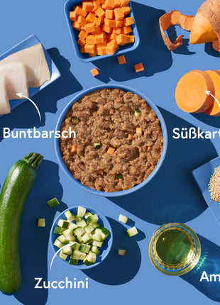Buntbarsch mit Amaranth