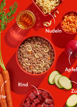 Rind mit Nudeln