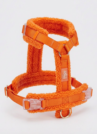 Hundegeschirr-Set Teddy Orange