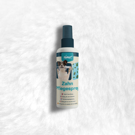 Dental care spray