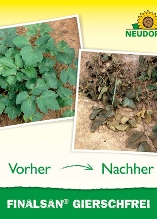 Neudorff Finalsan GierschFrei 1 l