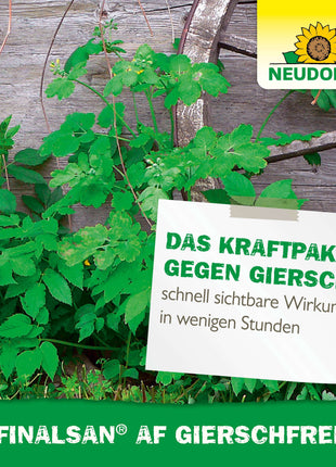 Neudorff Finalsan AF GierschFrei