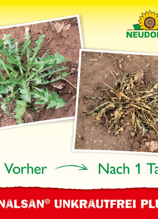 Neudorff Finalsan UnkrautFrei PLUS von 500 ml -2 L