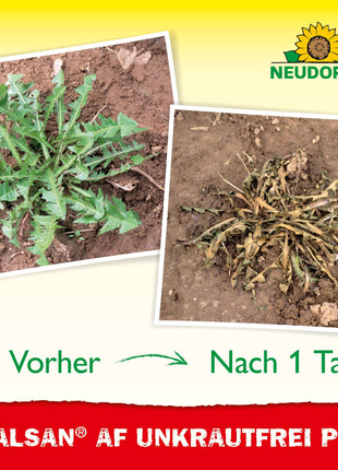 Neudorff Finalsan AF UnkrautFrei PLUS 750 ml