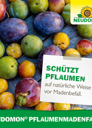 Neudorff Neudomon Pflaumenmaden­ Falle
