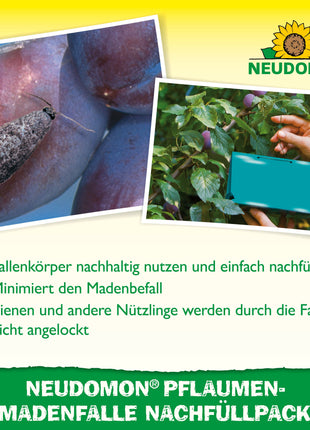 Neudorff Neudomon Pflaumenmaden ­Falle Nachfüllpack 2 Leimtafeln
