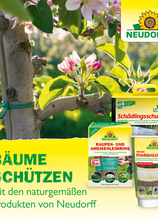 Neudorff Neudomon Pflaumenmaden ­Falle Nachfüllpack 2 Leimtafeln