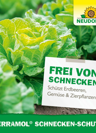 Neudorff Ferramol Schnecken-Schutz 2 x 4m