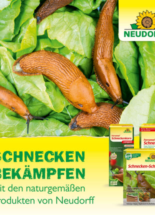 Neudorff Ferramol Schnecken-Schutz 2 x 4m