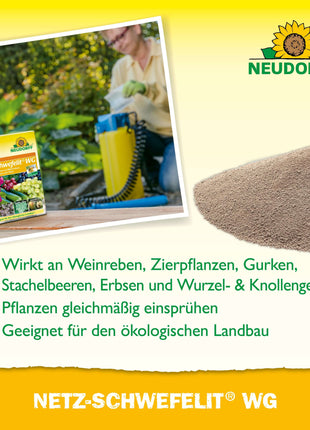 Neudorff Netz-Schwefelit WG 75 g