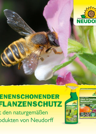 Neudorff Netz-Schwefelit WG 75 g