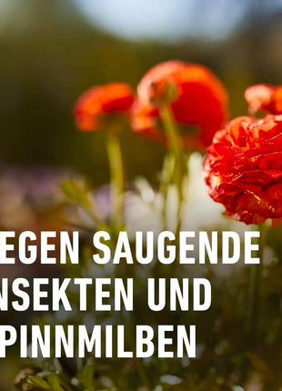 COMPO Grün- und Blühpflanzen Schädlings-frei AF saugende Insekten