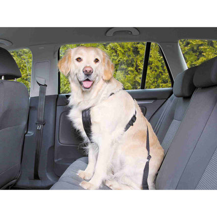 V5H9EB128808D392E442500C5866E7C28ADR7459724P3