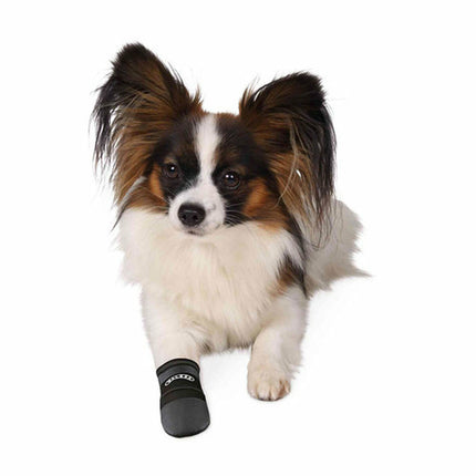 V5H0CB2E0B1947C1D04AA33BF78A0B105DCR7440610P4