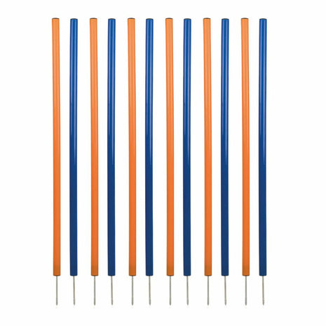 V5H0E1D33632766FA60CE1E5A698BCAF1E9R5763181P1