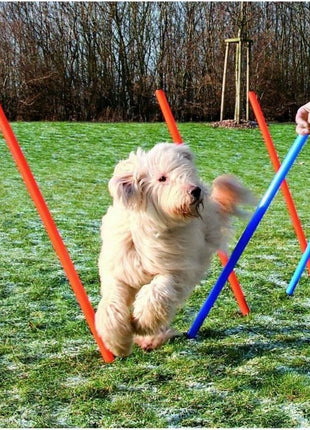 V5HA5093F3F7FA6EB465EA30F54E9FF5705R5763183P2