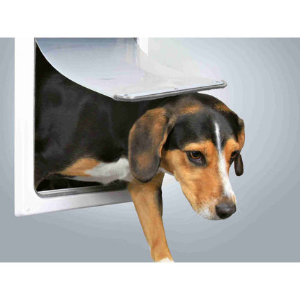 V6H5987C4B2A262A4BC32383B93BB31CDA4R7444383P5