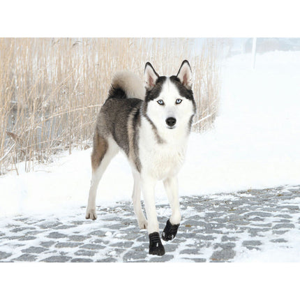 V5HD80E41F39B328607ADEB3A84A7E6D450R7439950P3