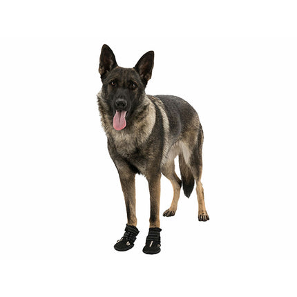 V5HC6616CF4D4BE612CE50FBDE4DBF83B10R7439958P5