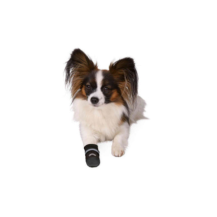 V5H730C8D12B147CF6D5FDE7912E45AE3E6R7440561P3