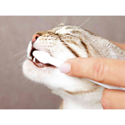 V6HBE484B6E8AA39332E4E3BCEFD784070CR7444250P8