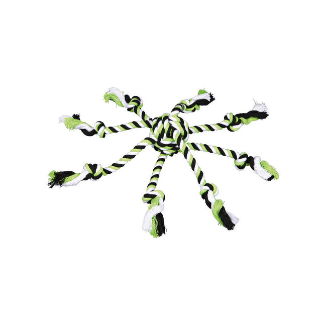 V6H1889D6203CD55E300992B409D44CF7D6R7443273P1