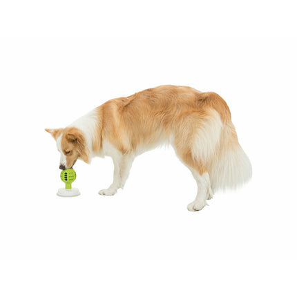 V8H71EA31E65B0699F2ADEA050ABCC70B0DR7452493P9