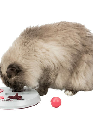 V7HFB1589B487B23031C984D68966FC8E5BR6607049P8