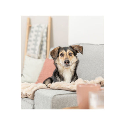 V5H201FC9E402785D946AC8F91603C0C3A5R7449457P3