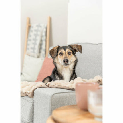 V5H71A58A47DA96D0433A9F5789F1845AA5R7449458P4